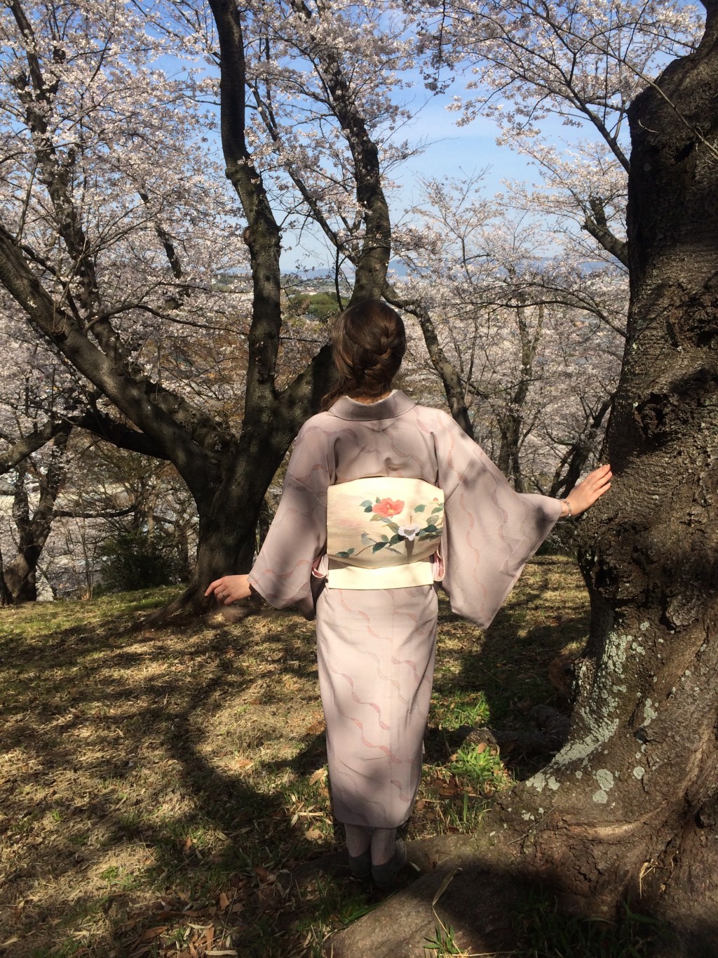 kimono komon 